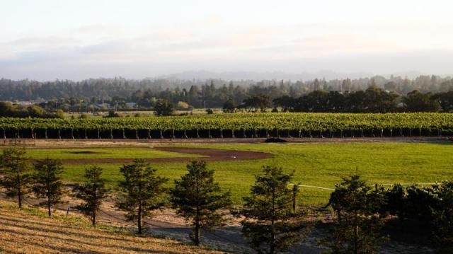 vista_vina_1280_j7t3ky3u_yuj8tqco.jpg