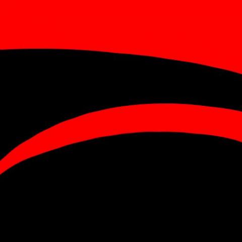 forma escogido.2017.jpg